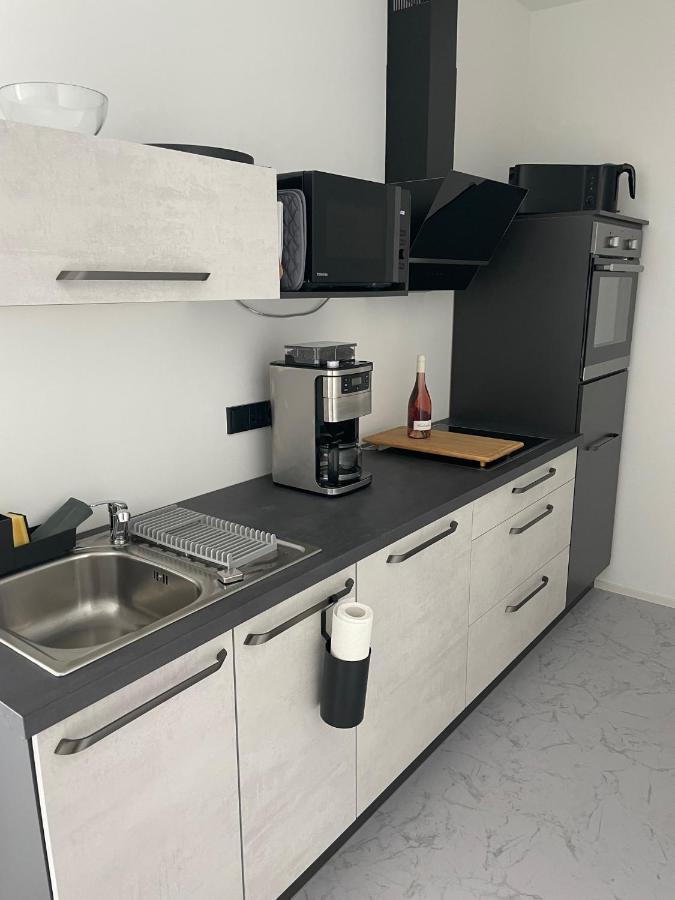 Apartments Saaldorf-Ferienhaus Mit 6 Apartments 45Qm-120Qm Direkt Am Thueringer Meer-Bleilochtalsperre Bad Lobenstein Eksteriør bilde