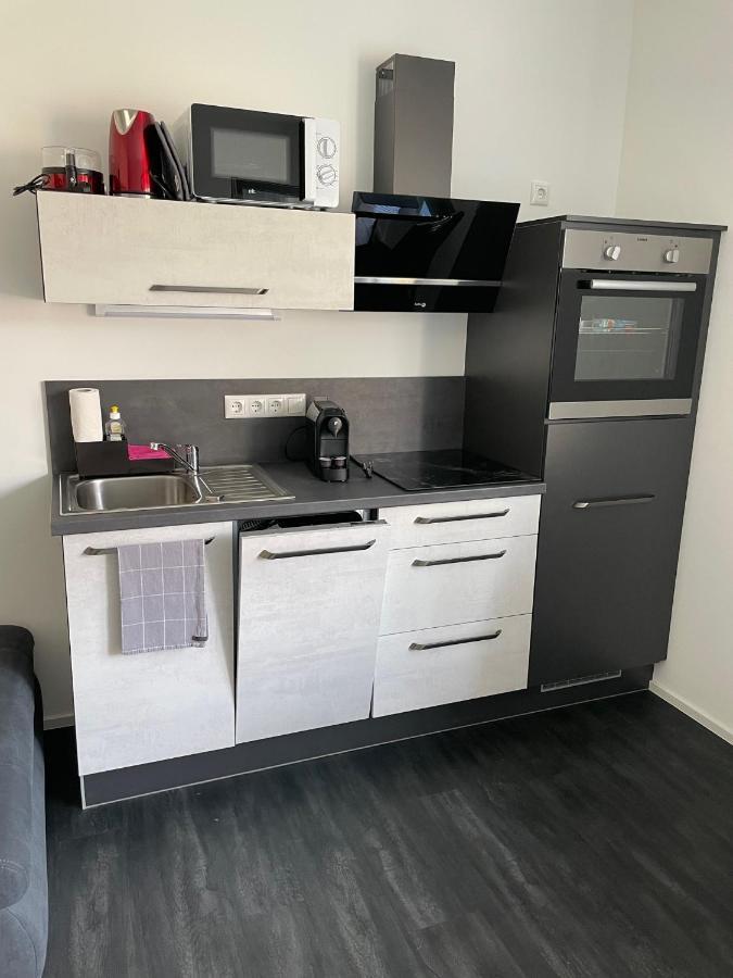 Apartments Saaldorf-Ferienhaus Mit 6 Apartments 45Qm-120Qm Direkt Am Thueringer Meer-Bleilochtalsperre Bad Lobenstein Eksteriør bilde