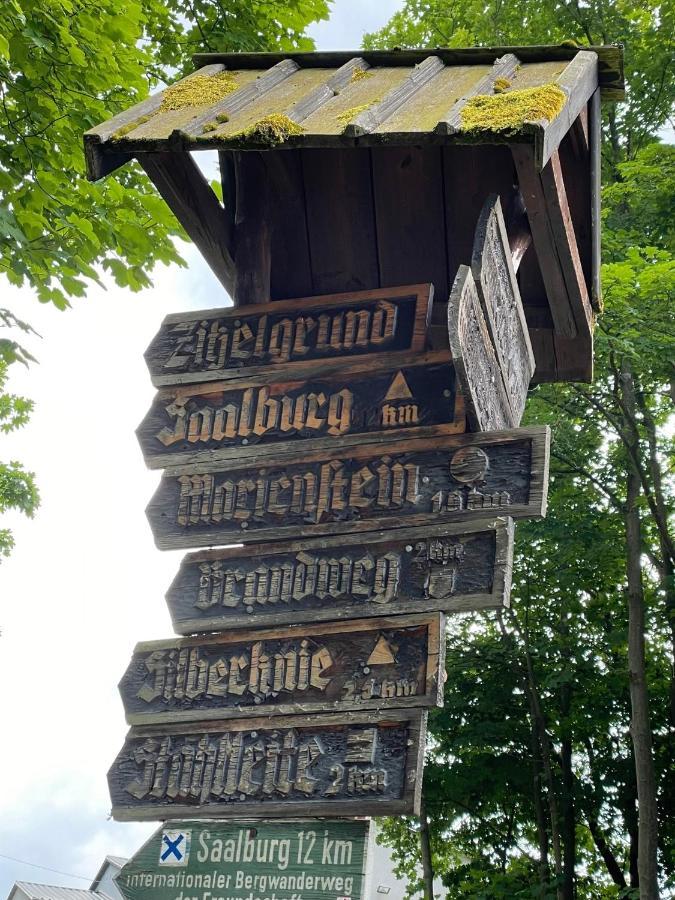 Apartments Saaldorf-Ferienhaus Mit 6 Apartments 45Qm-120Qm Direkt Am Thueringer Meer-Bleilochtalsperre Bad Lobenstein Eksteriør bilde