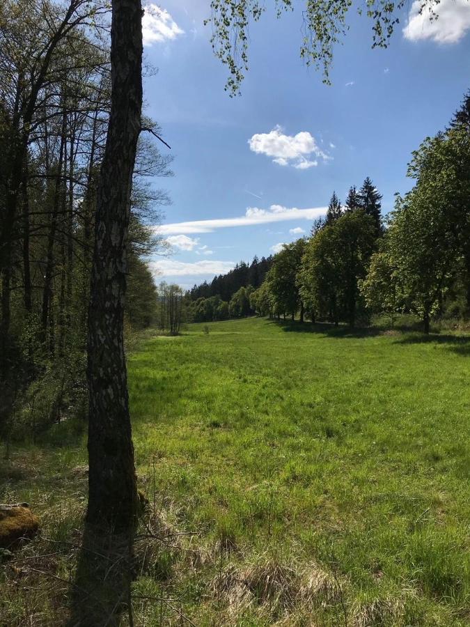Apartments Saaldorf-Ferienhaus Mit 6 Apartments 45Qm-120Qm Direkt Am Thueringer Meer-Bleilochtalsperre Bad Lobenstein Eksteriør bilde