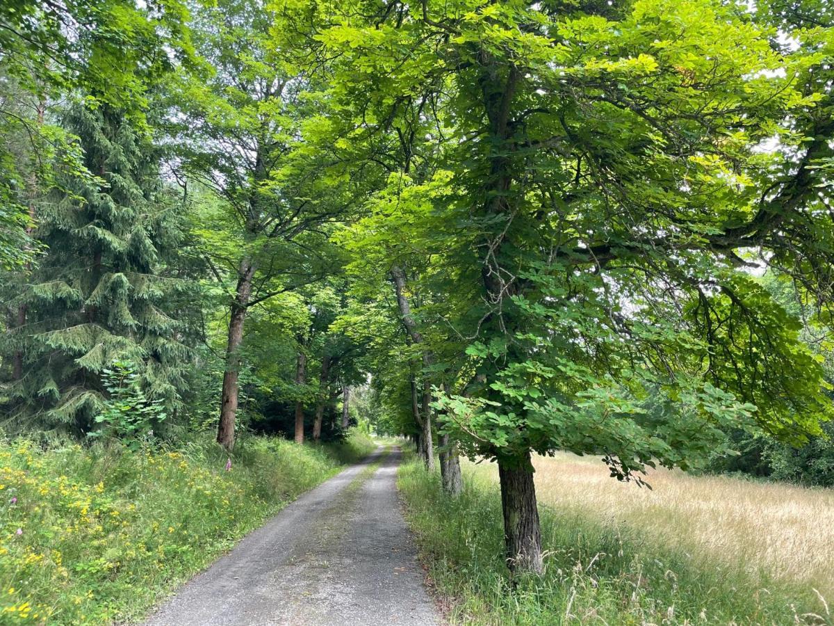 Apartments Saaldorf-Ferienhaus Mit 6 Apartments 45Qm-120Qm Direkt Am Thueringer Meer-Bleilochtalsperre Bad Lobenstein Eksteriør bilde